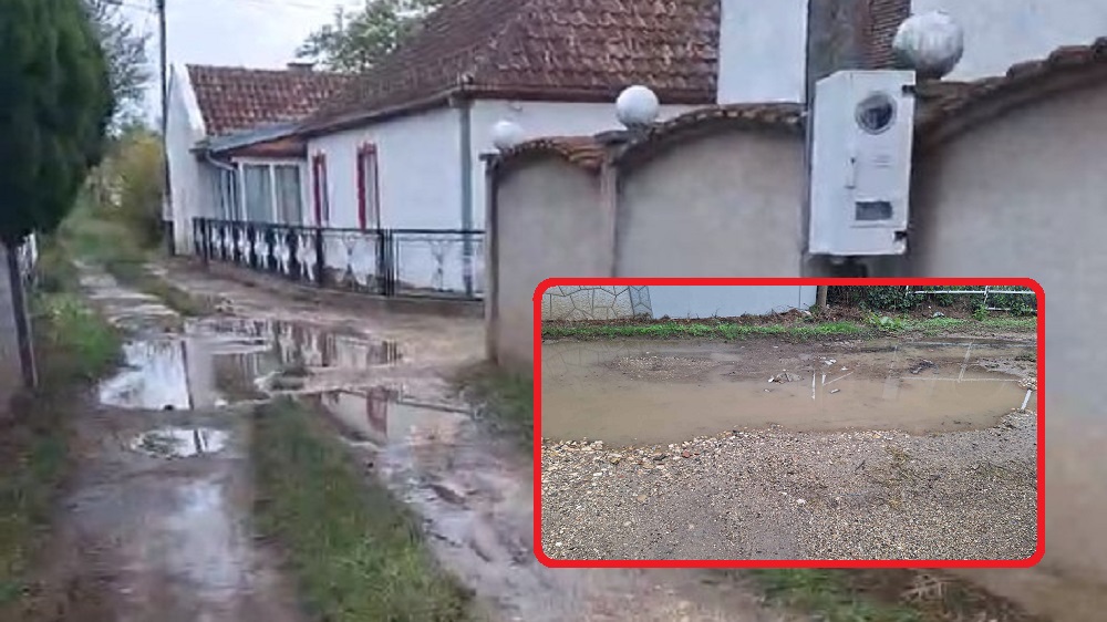 Ciganska Muva „Cigani imaju čizme“, odgovor vlasti na pitanje o neasfaltiranoj ulici!